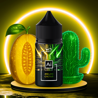 Набор жидкости WES AI 30 мл 65 мг Salt Melon Cactus (Дыня Кактус)
